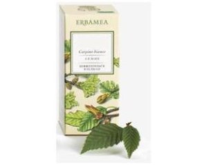 RIBES NIGRUM GEMME GEMMODER ERBA