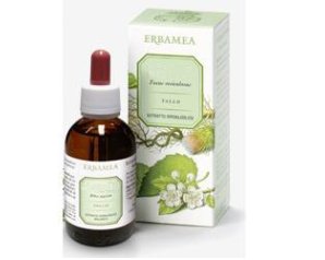 SALVIA SOMM FIO ESTR IAL 50ML