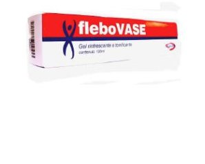 FLEBOVASE GEL 100ML