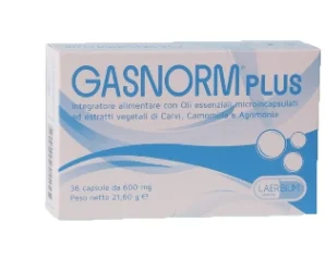 Laerbium Pharma Gasnorm Plus 36 Capsule