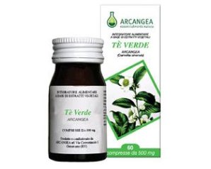 TE' VERDE 60CPS 500MG (F027C) AR