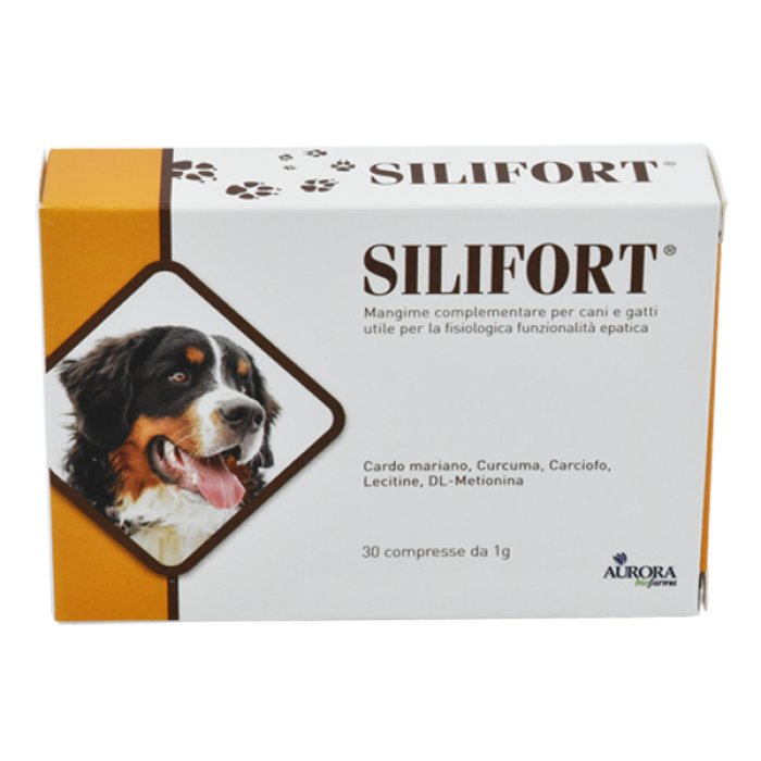 Ddfarma Silifort Integratore Alimentare Detossicante Epatico