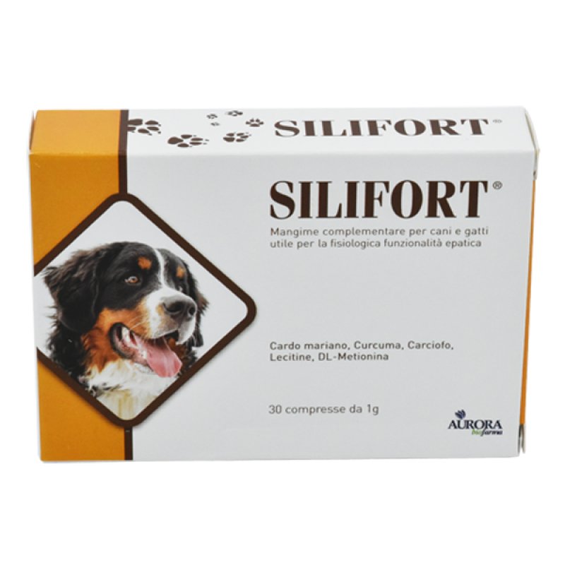 Ddfarma Silifort Integratore Alimentare Detossicante Epatico