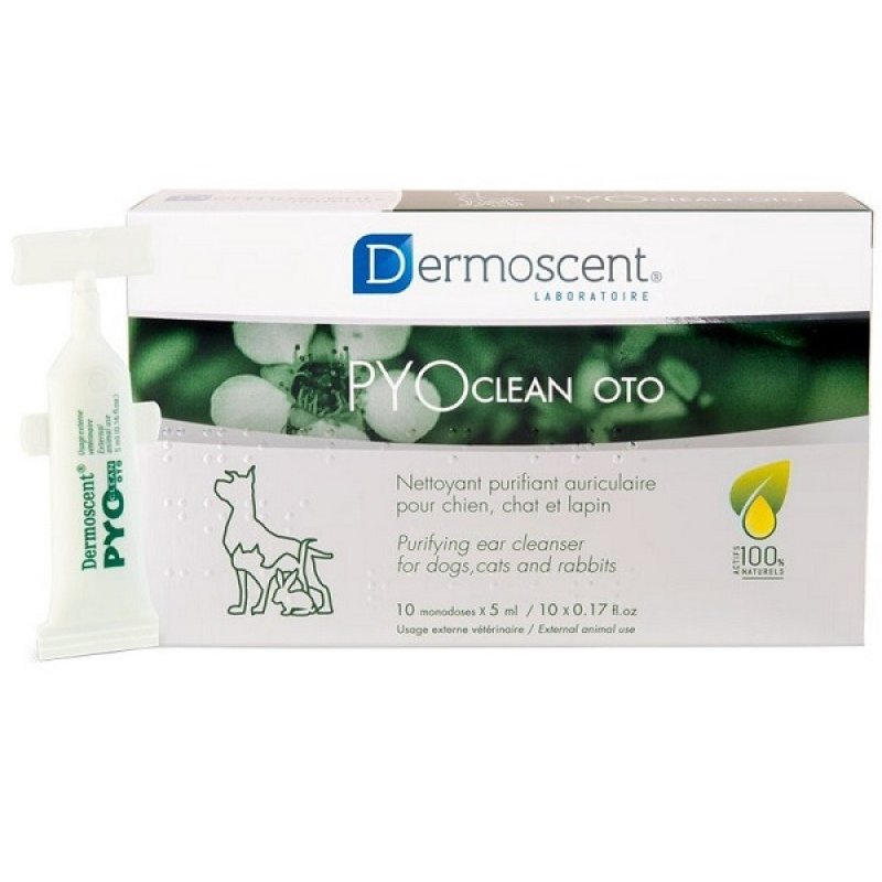 Dermoscent Pyoclean Oto Detergente Orecchie per Cani e Gatti 10 Fiale Monodose da 5 ml
