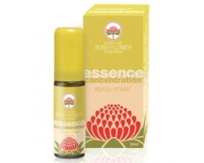 CONCENTRATION SPRAY ORALE 20ML