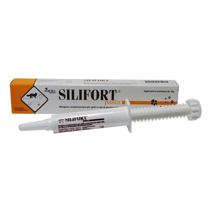 Ddfarma Silifort Pasta Os Siringa 15 G