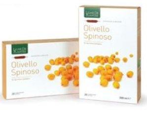 OLIVELLO SPINOSO BIO 20AB