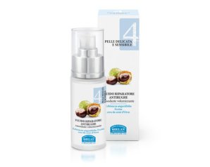 LINEA 4 FLUIDO RIPARAT ANTIR