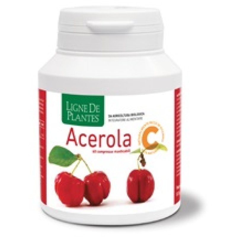 ACEROLA Bio 60 Cps mast.N-S ACEROLA Bio 60 Cps mast.N-S