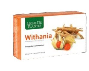 WITHANIA 60 Cps NSE