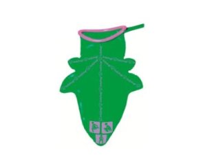 RACCOGL.Urina D C/Gel 2pz F/C