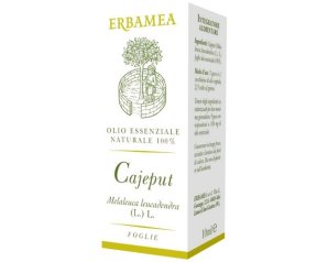 CAJEPUT 10ML