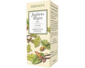 JUGLANS REGIA NOCE BIO 50ML