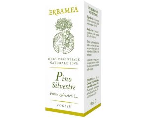 PINO SILVESTRE 10ML