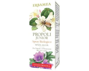 PROPOLI JUN SPRAY BIO20ML ERBAM<