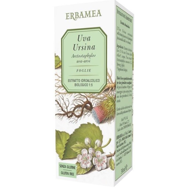 Estratto di Uva Ursina 50 ml – Integratore Naturale a Base di Uva Ursina per il Benessere delle Vie Urinarie Estratto di Uva Ursina 50 ml – Integratore Naturale a Base di Uva Ursina per il Benessere delle Vie Urinarie