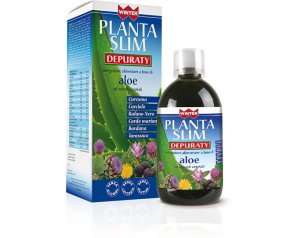 WINTER PLANTA SLIM DEPURATY 500M