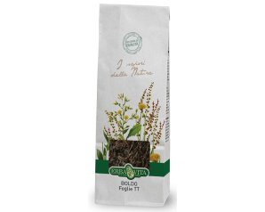 BOLDO TT FOGLIE 100G