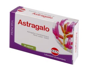 ASTRAGALO ES 70% 500MG 30CPS
