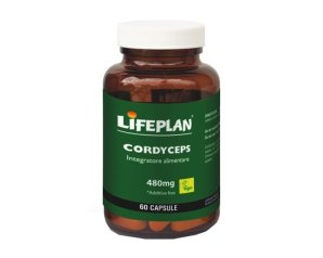 CORDYCEPS 60 Cps LFP