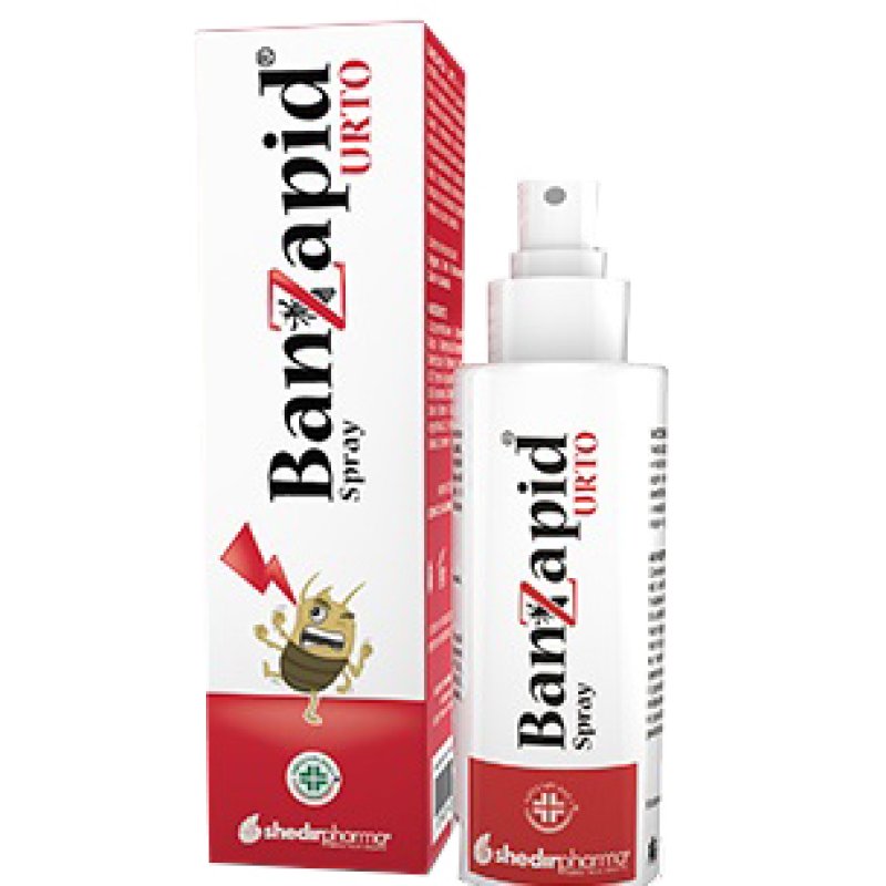 BANZAPID Spray Tratt.100ml BANZAPID Spray Tratt.100ml