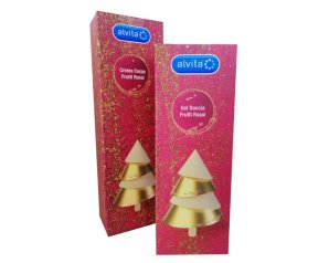 ALVITA GEL DOCCIA NATALE FRUT