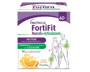 FORTIFIT Musc/Articol.7 Buste