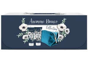 EUPHIDRA ANEMONE BI COLLECTION