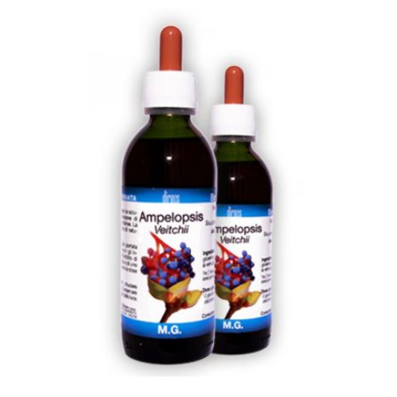 AMPELOPSIS VEITCHII MG 150ML D AMPELOPSIS VEITCHII MG 150ML D