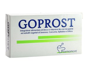 GOPROST 30CPR