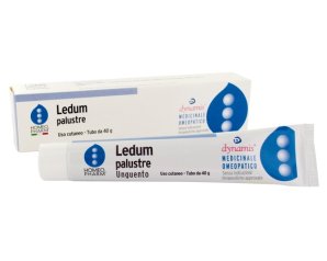 LEDUM PAL.Ung.40g HOMEOPH.