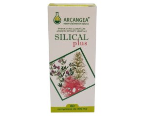 SILICAL PLUS 60CPR