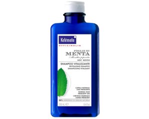 SHAMPOO MENTA 250ML