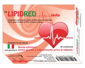 LIPIDRED FORTE 28CPR