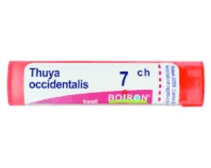 BO.THUYA OCC.Dose    7CH