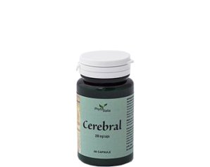 CEREBRAL AYURVED 60CPS