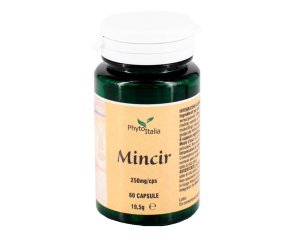 MINCEUR AYURVED 60CPS