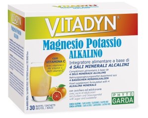 VITADYN MAGNESIO POTASS 30BUST