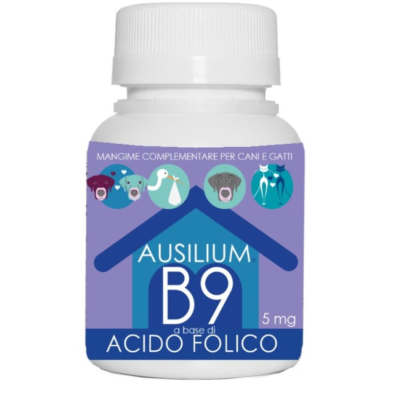 AUSILIUM B9 ACIDO FOLIC 100G VET AUSILIUM B9 ACIDO FOLIC 100G VET