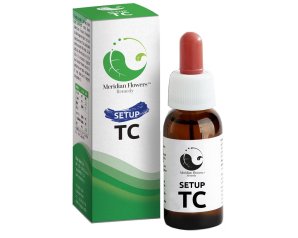 SETUP TC MERIDIAN FLOWERS REM