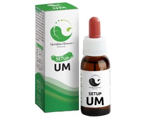 SETUP UM MERIDIAN FLOWERS REM