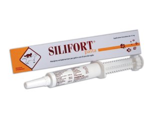 SILIFORT PASTA OS SIRINGA 30G