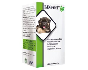 Ddfarma Legart Up 60 Compresse Da 1 G
