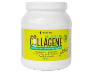 VITAMIN DAY Collagene Articol.