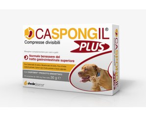 CASPONGIL Plus 30 Cpr