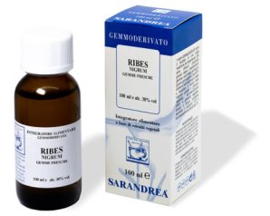 RIBES NIGRUM 100ML MG