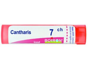 BO.CANTHARIS Tubo  7CH