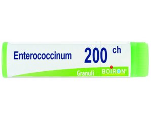 BO.ENTEROCOCCINUM Dose 200CH