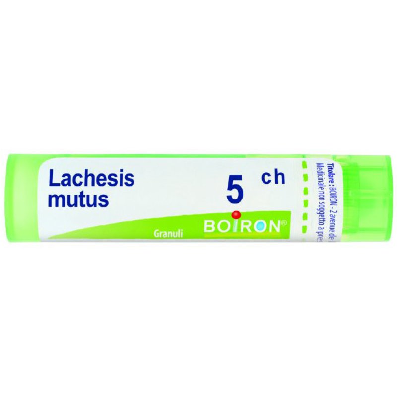Lachesis Mutus Granuli Omeopatici in Tubo Diluizione 5 CH – Rimedio Omeopatico Lachesis per Disturbi Circolatori e Menopausa Lachesis Mutus Granuli Omeopatici in Tubo Diluizione 5 CH – Rimedio Omeopatico Lachesis per Disturbi Circolatori e Menopausa