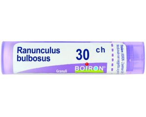 BO.RANUNCULUS Tubo 30CH